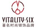 V6����