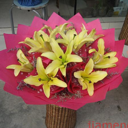 铺子花是什么 W1QP601X.jpg
